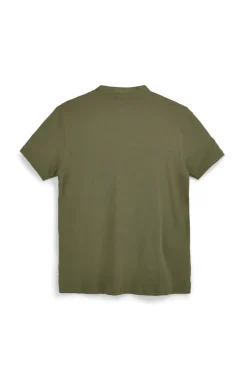Uomo PITTARELLO TIERRA Grünes koreanisches Has-T-Shirt it Knöpfen NBY3032