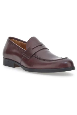 Uomo PITTARELLO PLUS Mocassini 1022 Marroni