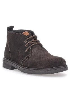 Uomo LONGFORD Polacchini Vera Pelle Marrone 505