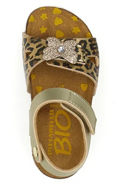 PITTARELLO BIO Sandali oro con fiore glitter 7A745SR