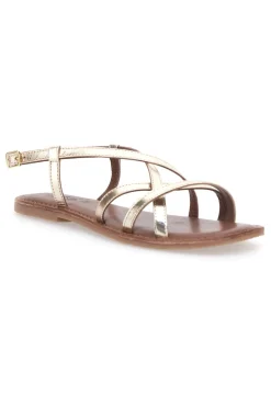 PITTARELLO SUN Sandali Platino a Infradito con Tomaia in Pelle Incrociata A991103 Hot