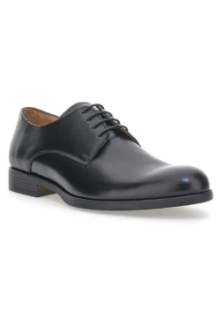 Uomo PITTARELLO PLUS Scarpe Stringate Eleganti 1003 Vera Pelle