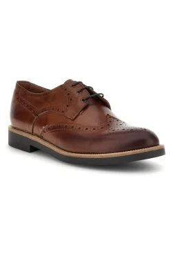 Uomo PITTARELLO Scarpe stringate marroni in pelle 8023