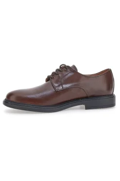 Uomo PITTARELLO Scarpe Stringate Marroni In Pelle 6851