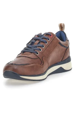 Uomo JOHES LAND Scarpe Stringate Marroni 200201
