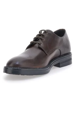 Uomo LONGFORD Scarpe Stringate Marroni 500