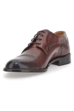 Uomo PITTARELLO PLUS Scarpe Stringate Marroni 620