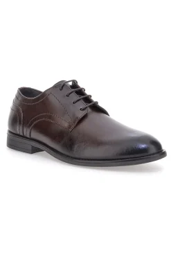 Uomo PITTARELLO CLASS Scarpe stringate marroni vera pelle 300