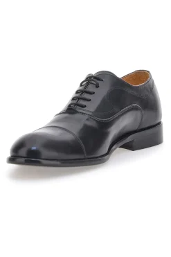 Uomo PITTARELLO PLUS Scarpe Stringate Nere 731