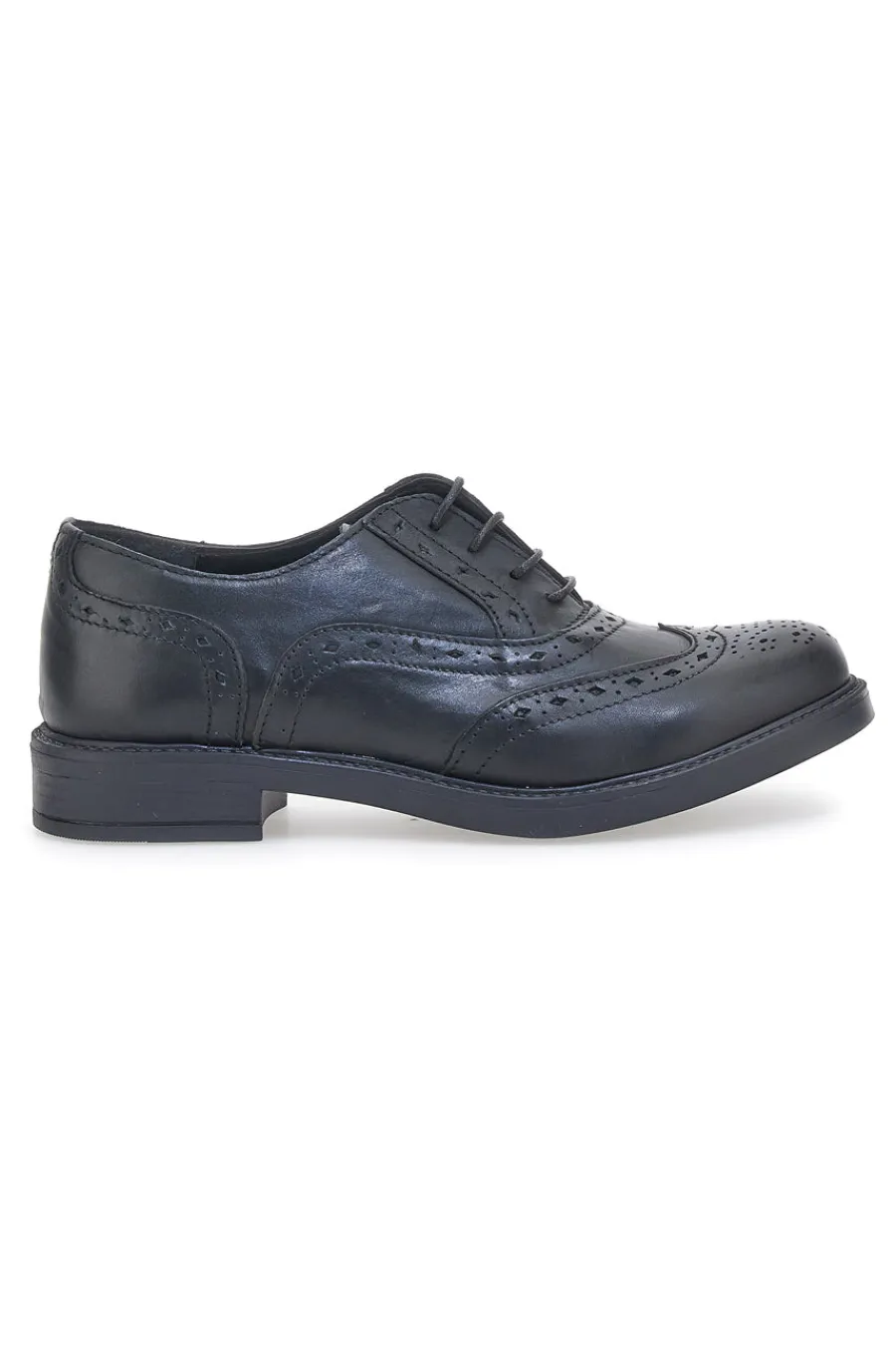 Donna PITTARELLO CLASS Scarpe Stringate 73 Vera Pelle