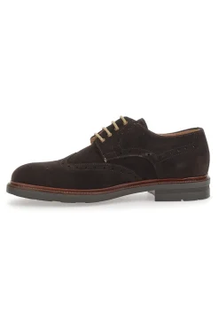 Uomo PITTARELLO Scarpe Stringate 8058 Marroni