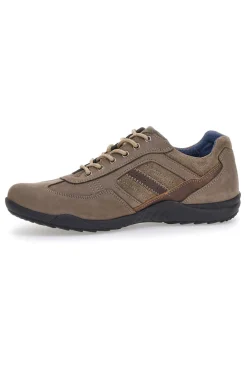 Uomo PITTARELLO ECO Scarpe Stringate Taupe In Vera Pelle 7016