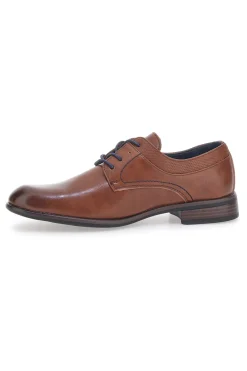 Uomo LONGFORD Stringate Marroni con Tomaia Liscia 6Y976715